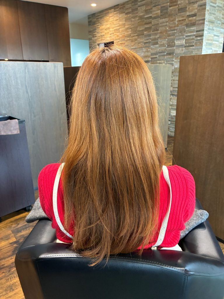 ブリーチでチリついた、広がりがあるハイダメージの髪のビフォー写真